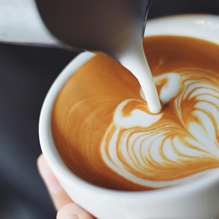 Indulge in Our Creamy Latte Selection