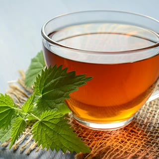 HOT TEA (ASSORTED)