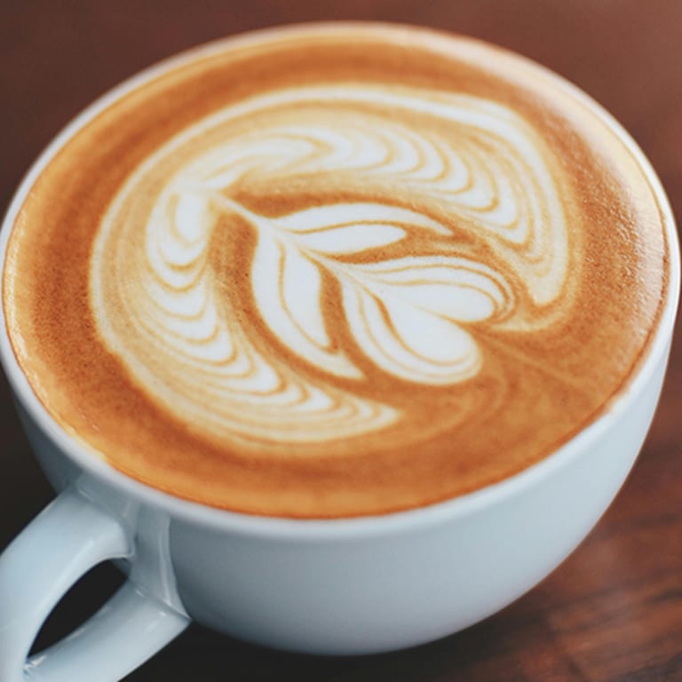 Indulge in Our Lattes